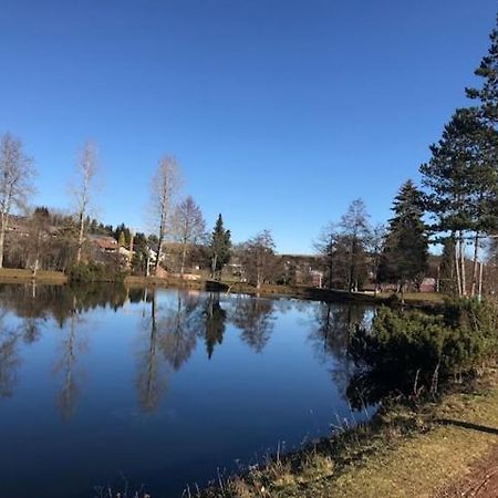Schoene Ferienwohnung Im Suedschwarzwald Herrischried エクステリア 写真