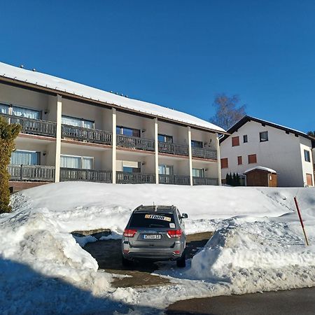 Schoene Ferienwohnung Im Suedschwarzwald Herrischried エクステリア 写真